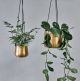 Brass Hanging Planter