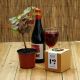 Grow Your Own Red Wine Grape Vine