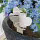 Memorial Pet Plant Marker And Forget Me Not Seeds