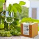 Grow Your Own White Wine Grape Vine
