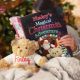 Personalised Christmas Story Book And Teddy Bear