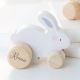 Personalised Wooden Bunny Push Toy