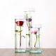 Submerged Flower Vase Kit Distilled Water