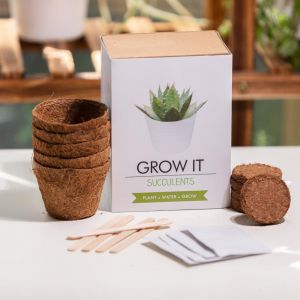 Grow Your Own Succulents