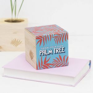 Grow Your Own Palm Tree Kit